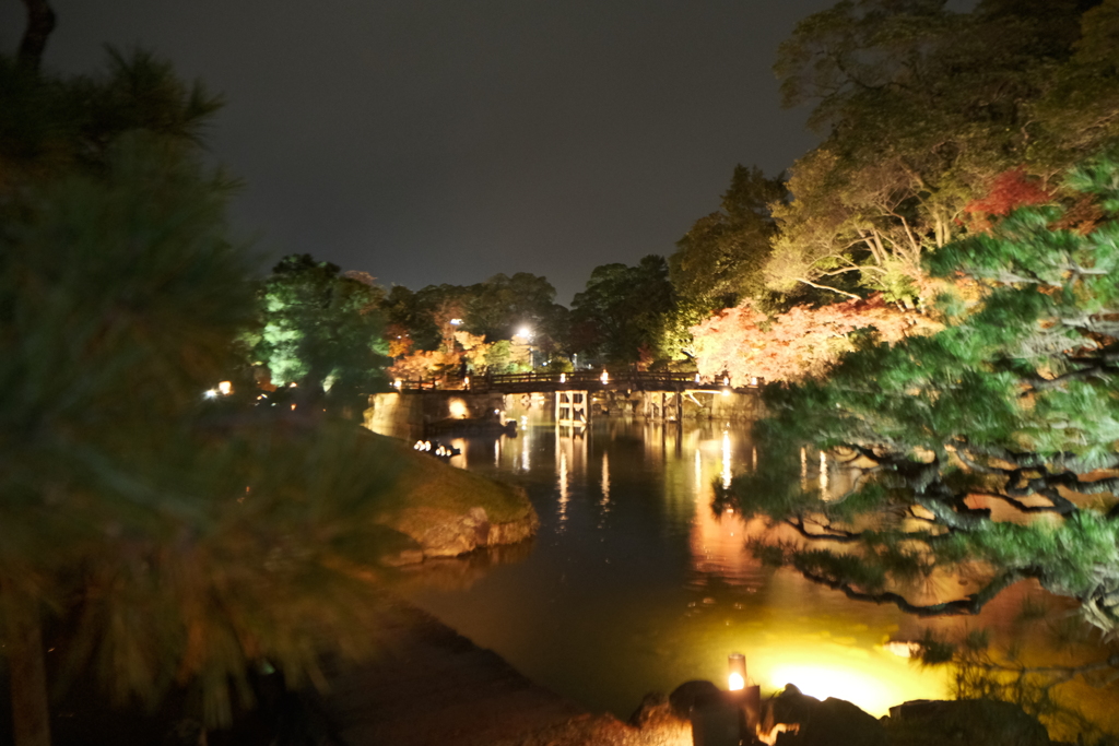 11/27、今年最初にして最後に見た紅葉ライトアップ８