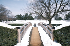 見納めどきの雪景色４