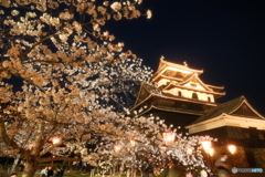 松江城の夜桜６