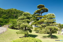 仙巌園にて１