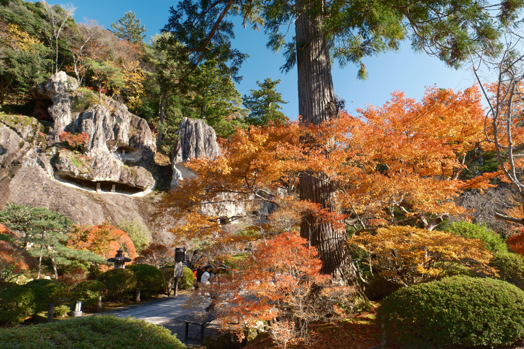 曇り予報であったが割と晴れた紅葉巡り１０