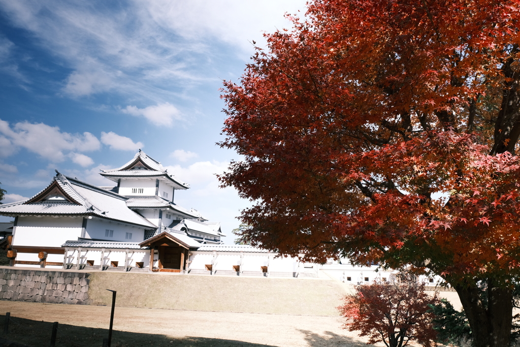 金沢城公園の紅葉巡り４
