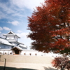 金沢城公園の紅葉巡り４