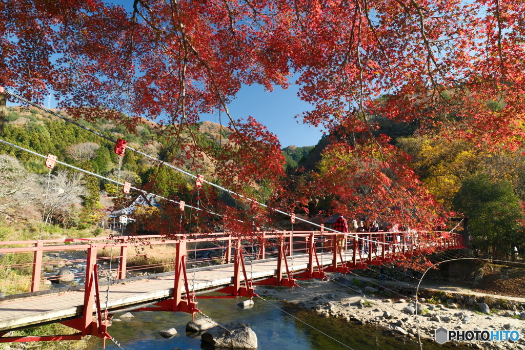 香嵐渓の紅葉１６