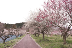 週末の何処かは悪天候ばかり１