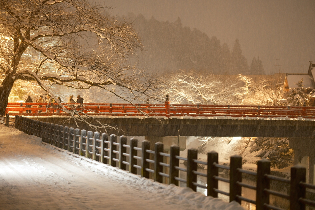 1月末大雪で水漏れの被害に、たまたまの年休で1泊2日の旅へ４３