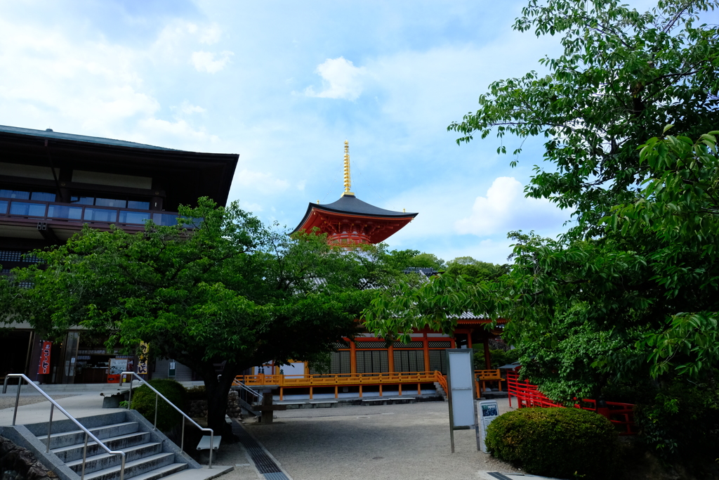 深緑の中山寺２