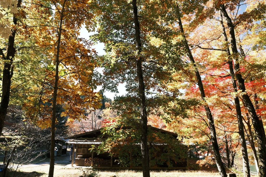 飛騨の里の紅葉巡り１１