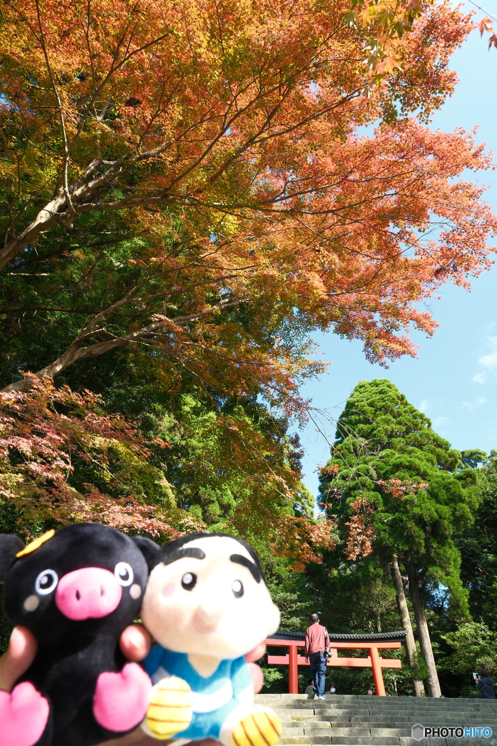 思えば九州で紅葉を撮りに行くのは初めての旅だった３