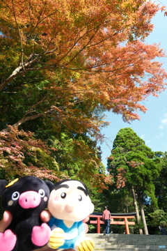 思えば九州で紅葉を撮りに行くのは初めての旅だった３