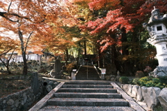 仕事は休業中、紅葉はフル稼働、長安寺にて２