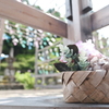 6月末も真夏に劣らぬ暑さの風鈴６