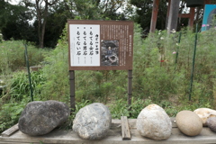 力試しの石