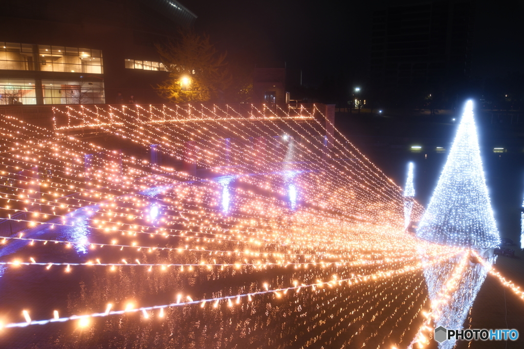 環水公園スイートイルミネーション2024-4