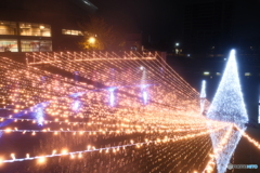 環水公園スイートイルミネーション2024-4