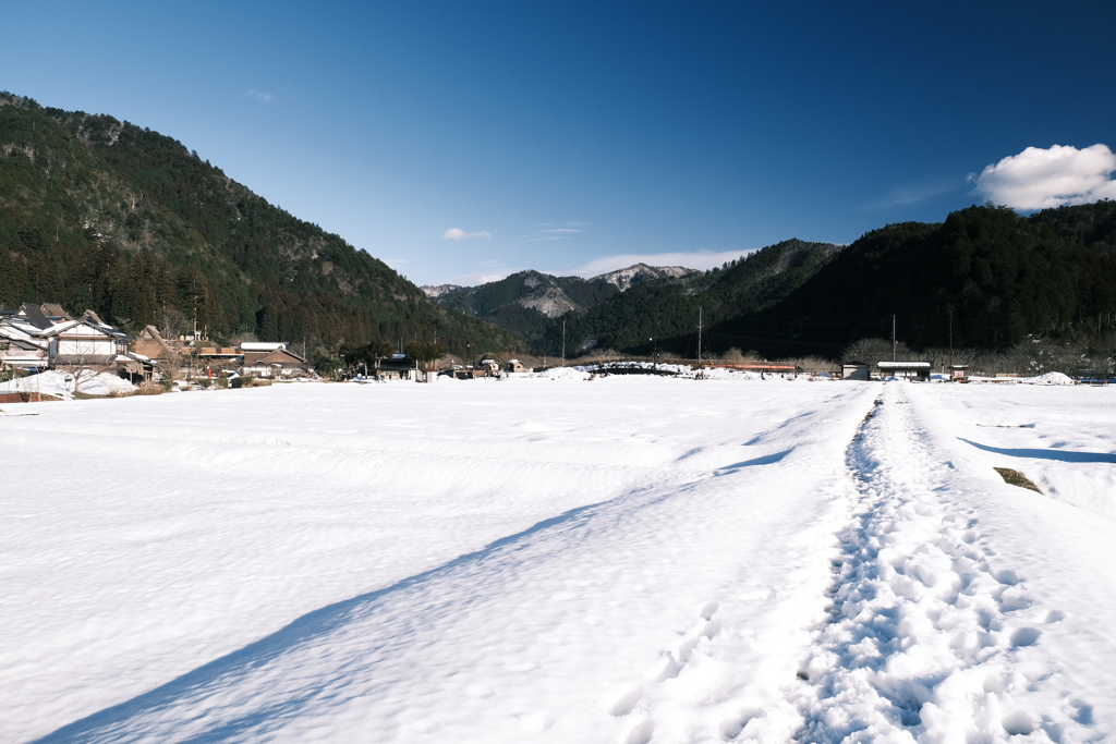 雪が残る中で少しずつ近づいた春１７