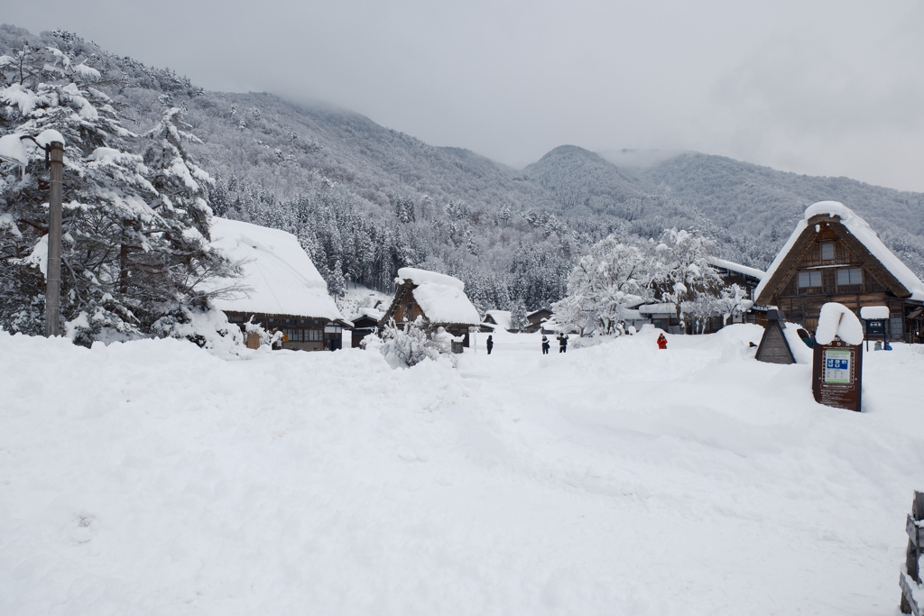 1月末大雪で水漏れの被害に、たまたまの年休で1泊2日の旅へ３１