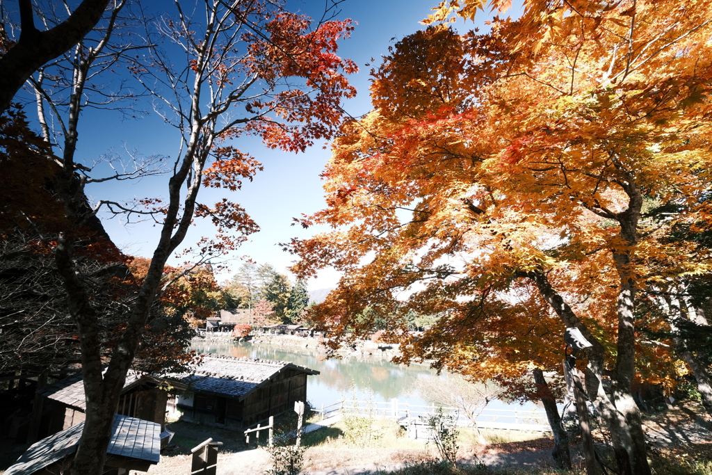 飛騨の里の紅葉巡り７