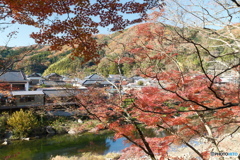 香嵐渓の紅葉５