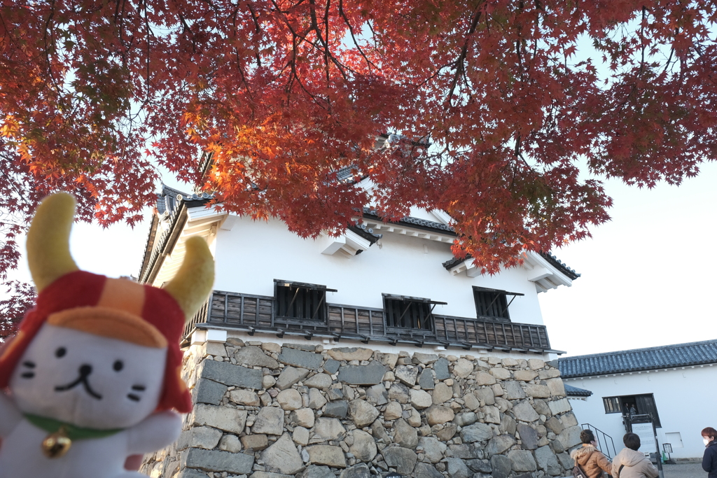 紅の幕２