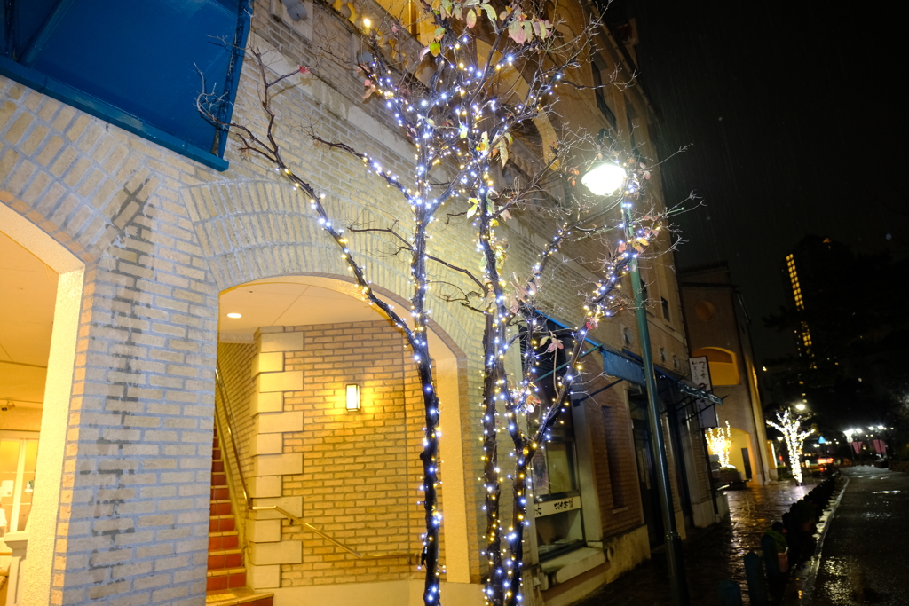 雨の中の花のみち３