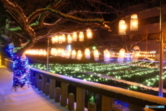 イルミネーションinひみ４