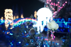 びわ湖大津館2021イルミネーション「妖精たちと幻想的な光の世界」４