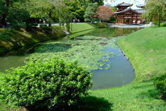 平等院鳳凰堂２