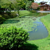 平等院鳳凰堂２