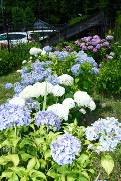 若狭瓜割名水公園にて９