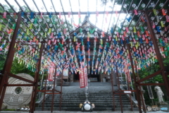 盆休み早々の雨の中だった時７