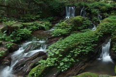 若狭瓜割名水公園にて４