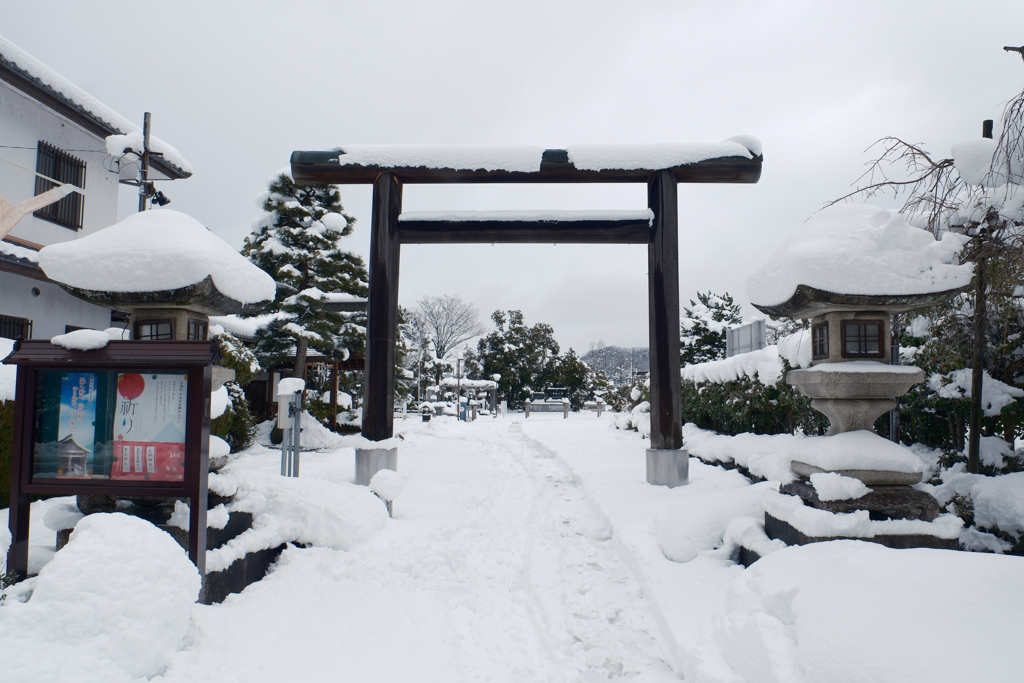 ある大雪の散策４