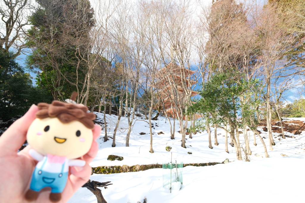 雪は少ないが晴れていた時１