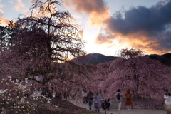 今年の3月は少し寒かった時７