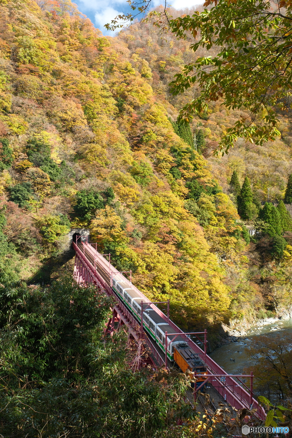 宇奈月温泉街の紅葉2024-3
