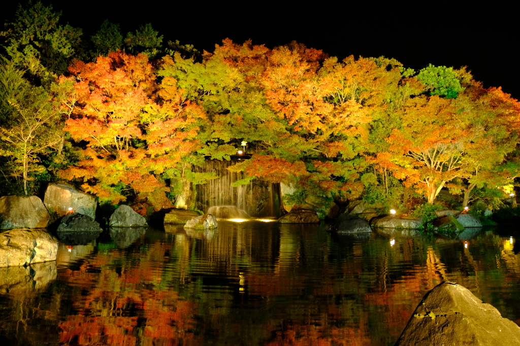 漆黒の夜空と照らされる紅葉in好古園７