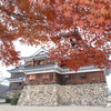 12月の紅葉２３