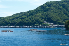 伊根湾めぐり遊覧船に乗って９