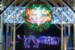 チューリップ公園KIRAKIRAミッション2024-8