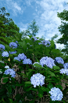 若狭瓜割名水公園にて３