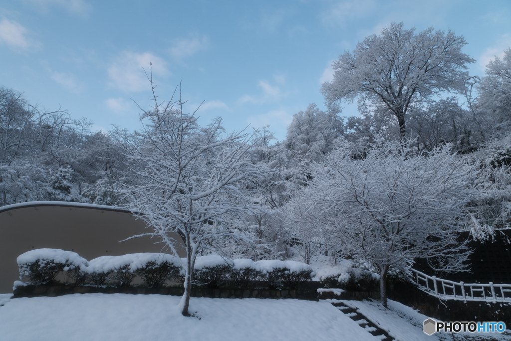 年末最終夜勤明けの近場９