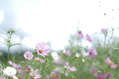 真っ直ぐ、ただ真っ直ぐに〜２