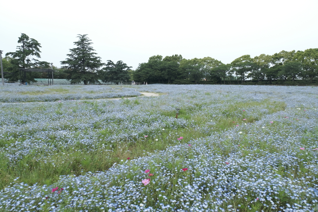 所によって秋が訪れているでしょう５