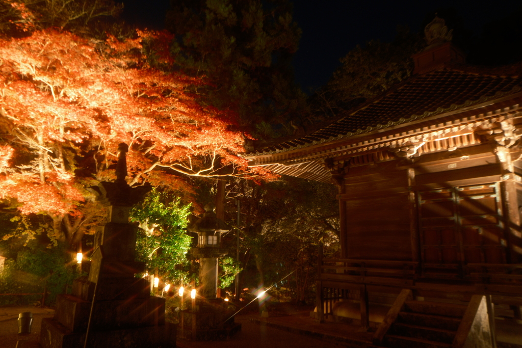 石山寺 あたら夜もみじ５