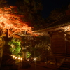 石山寺 あたら夜もみじ５