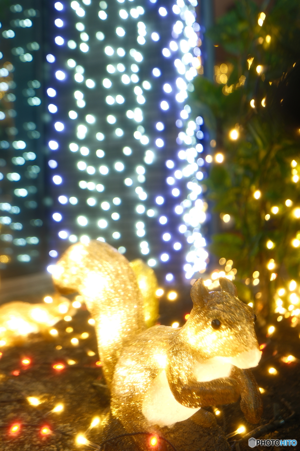 2025今年も一年ありがとうございました