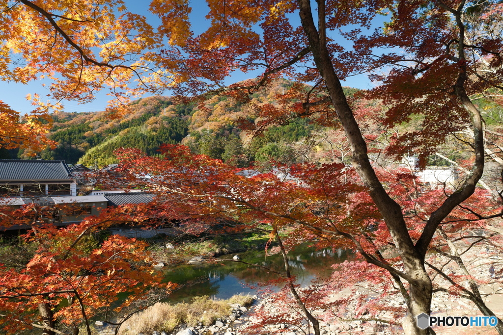 香嵐渓の紅葉６