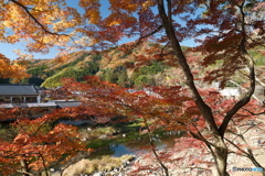 香嵐渓の紅葉６