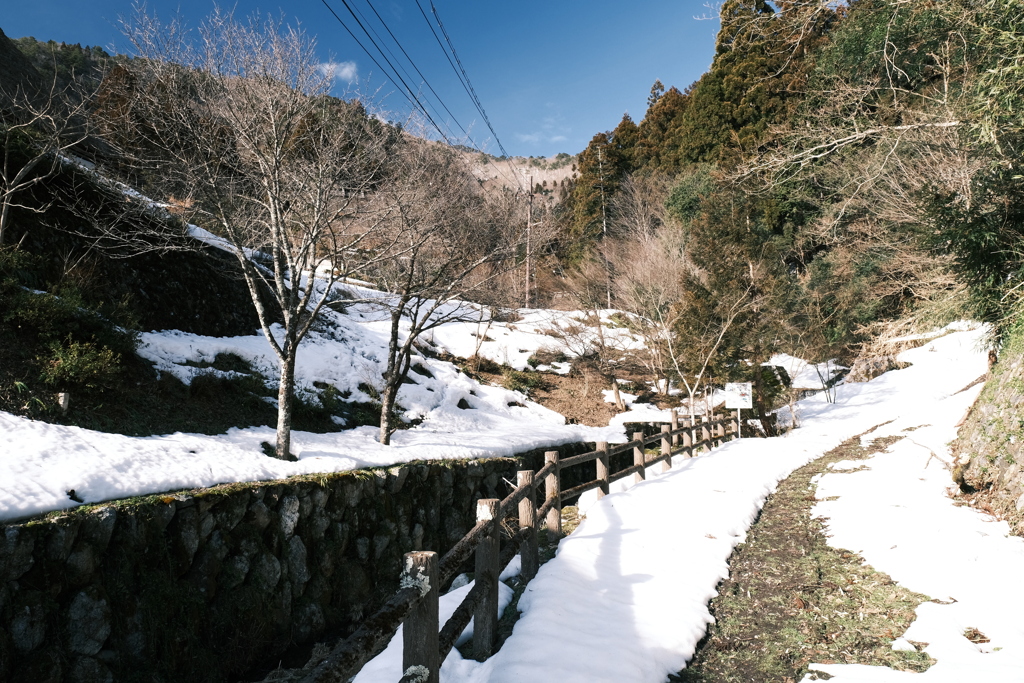 雪が残る中で少しずつ近づいた春１１